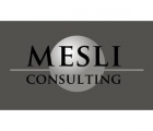 MESLI Consulting 